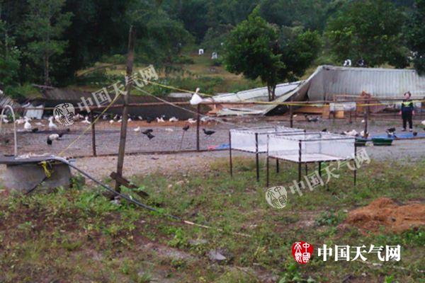 云南西南部现暴雨勐海破11月日雨量极值