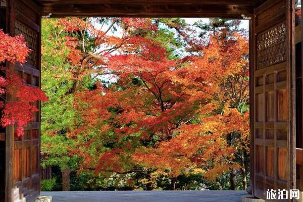 日本京都岚山寺庙推荐