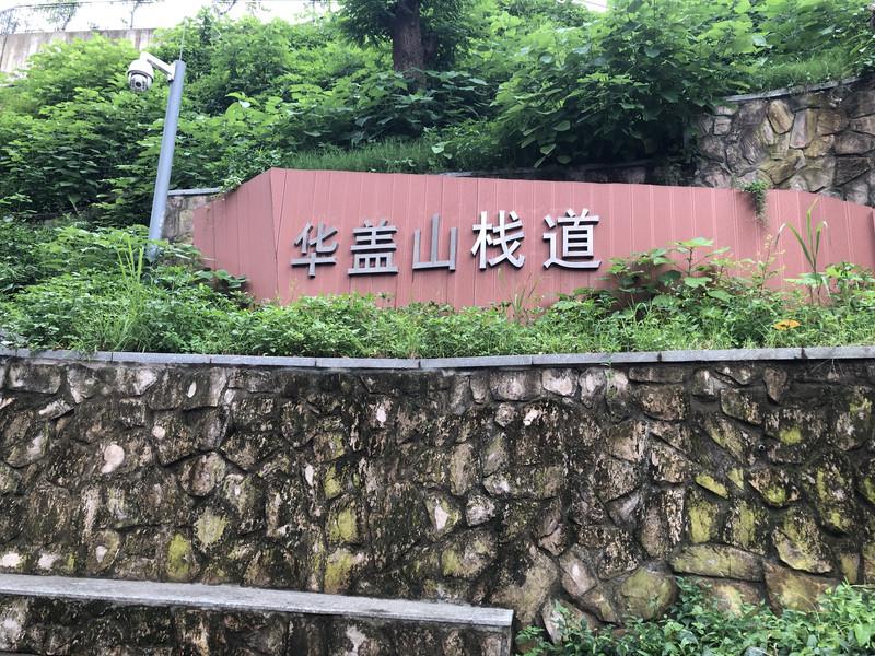 顺德美食攻略 顺德旅游美食推荐