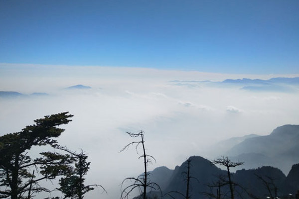 峨眉山旅游攻略 峨眉山游玩攻略