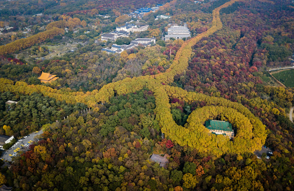 南京紫金山要门票吗 紫金山怎么坐地铁