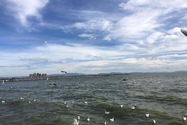 昆明旅游景点大全 昆明攻略