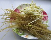 肉末粉条煲的做法步骤1