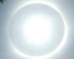 “日晕”的详细介绍