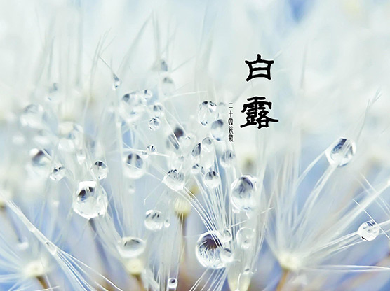 白露节气习俗早知道 别怪我没说