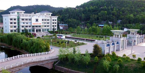 四川巴中有哪些大学
