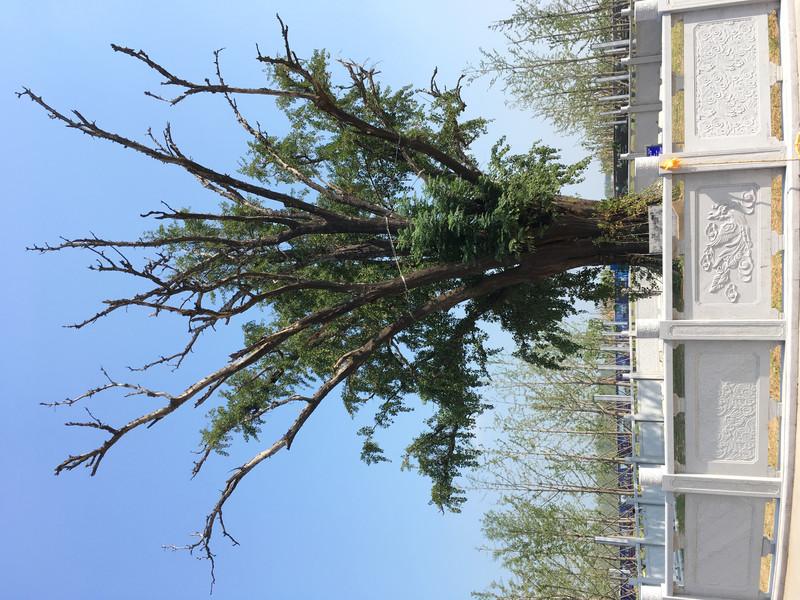 临泉哪吒闹海水乐园游玩攻略 临泉哪吒闹海水乐园在哪 临泉哪吒闹海水乐园游玩攻略 临泉哪吒闹海水乐园在哪