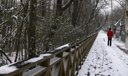 黑龙江四月暴雪气温低迷 各地供暖期延长至本月底