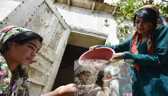 全球近6.9亿人处于饥饿状态 预计今年饥饿人数可能达到1.3亿