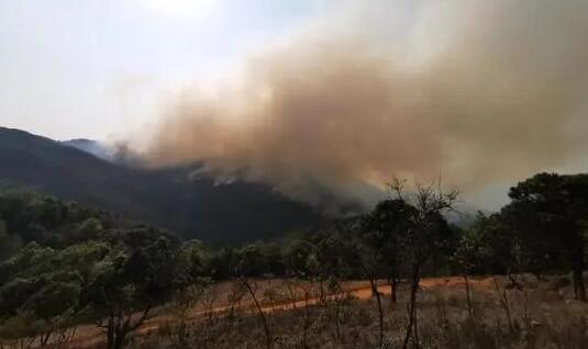 哈尔滨发布森林草原火险黄色预警 本周末多云天气为主