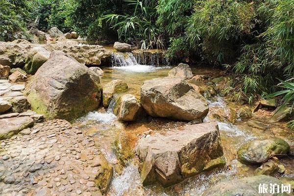 顺德周边网红打卡景点有哪些 顺德周边网红打卡景点有哪些
