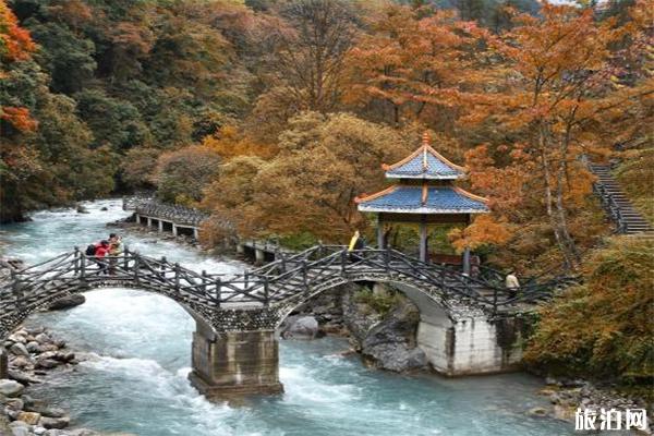 雅安二郎山喇叭河景区门票+观光车费用+住宿