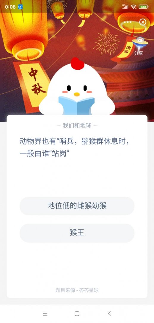 猕猴群休息站岗