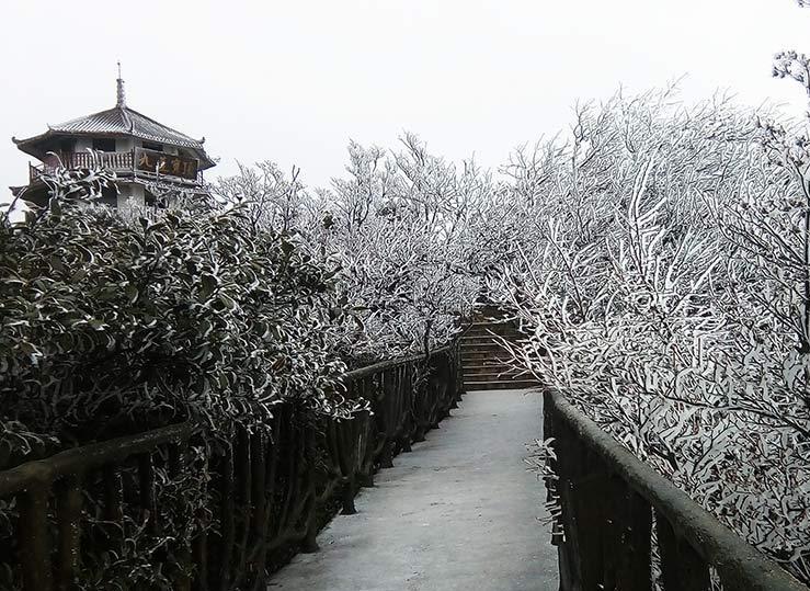 重庆金佛山小雪节气现雾凇奇观 一起来观赏吧