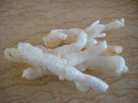 蹄筋墨鱼烩三鲜的做法步骤4