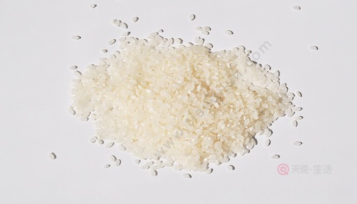 珍珠米适合煮饭还是煮粥