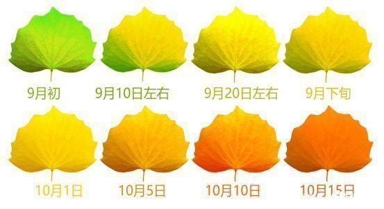 额济纳旗看胡杨林最佳时间+穿衣指南 额济纳旗看胡杨林最佳时间+穿衣指南