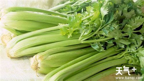 10个超实用食物保鲜窍门  食物保鲜的方法有哪些