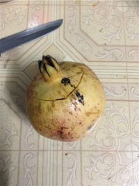 石榴汁的做法步骤2