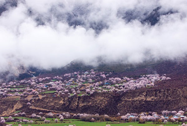 林芝桃花沟在哪 林芝桃花沟简介