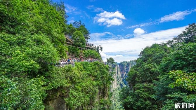 张家界四日游攻略路线