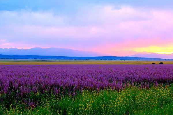 7月份适合去国内哪旅游 七月去哪里旅游好