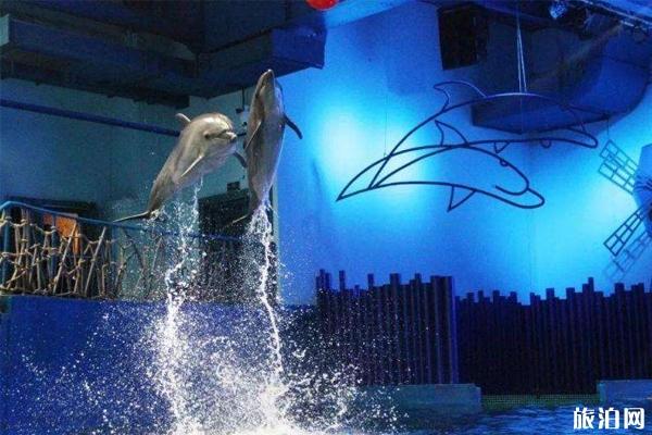 2019重庆幻太奇海洋馆八月优惠活动+游乐项目 2019重庆幻太奇海洋馆八月优惠活动+游乐项目