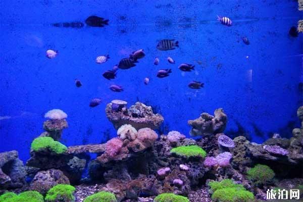 2019北海海洋之窗在哪里+地址+交通+电话 2019北海海洋之窗在哪里+地址+交通+电话