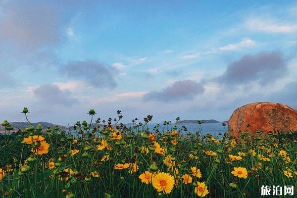 南麂岛游玩攻略 浙江温州南麂岛景点