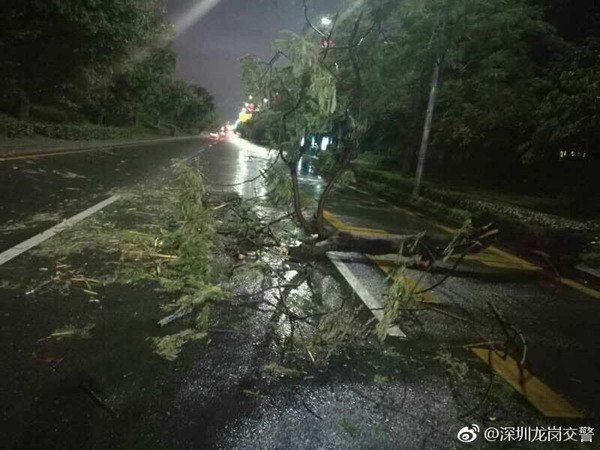 台风“卡努”登陆广东徐闻 今天湛江等市县仍有较强风雨