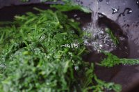 凉拌蒿菜的做法步骤5