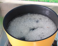 芒果西米露的做法步骤3