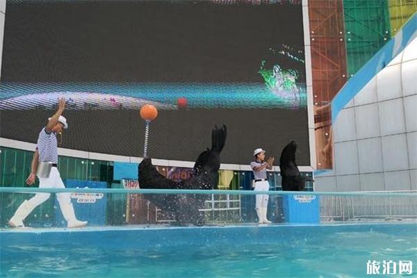 上海欢乐谷可以带吃的进去吗