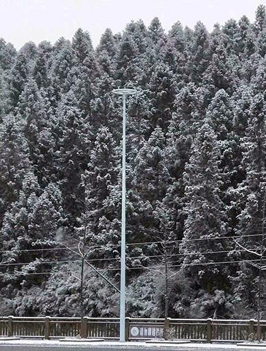 美呆了！重庆仙女山迎下半年初雪 一片银装素裹