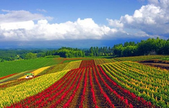 北海道适合亲子游的地方