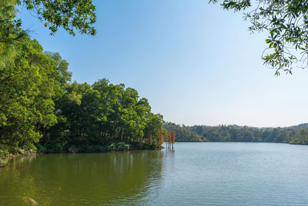 惠州看花的地方有哪些 惠州看花景点推荐