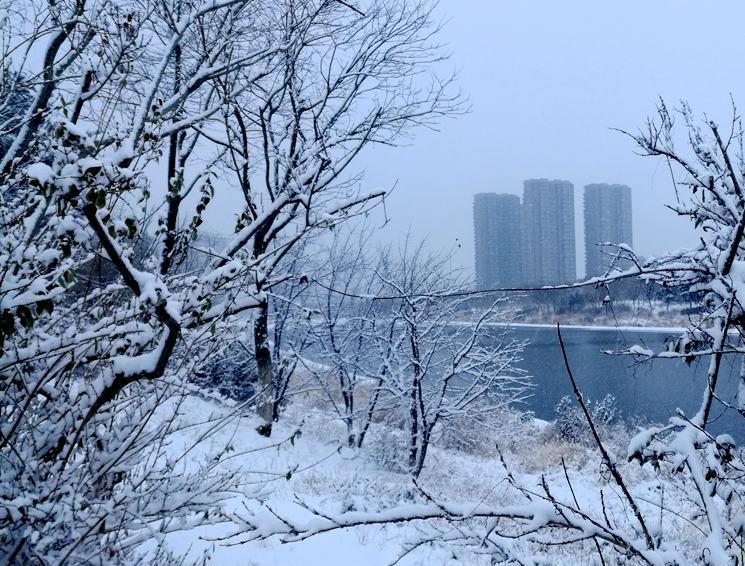 这么美！辽宁多地迎降雪 银装素裹