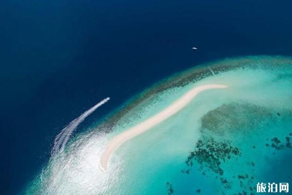 马尔代夫哈拉薇莉岛是几星岛 马尔代夫哈拉薇莉岛怎么样