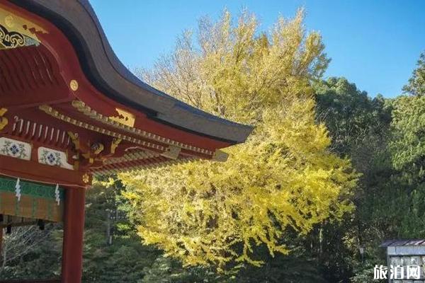 镰仓秋天旅游景点推荐 镰仓秋天旅游景点推荐