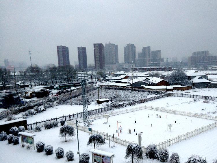 这么美！辽宁多地迎降雪 银装素裹