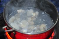 蛤蜊蒸蛋的做法步骤1
