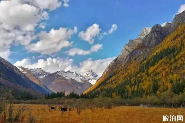 中国机长雪山取景地是哪里