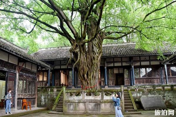 重庆合川钓鱼城景区一日游玩攻略 重庆合川钓鱼城景区一日游玩攻略