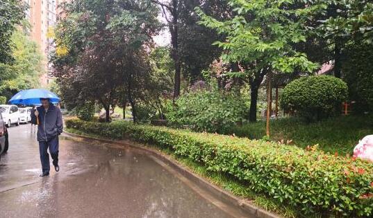  受强降雨影响  华山太平国家森林公园等景区暂时关闭