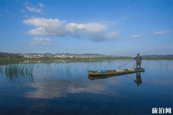 贵州威宁草海周边有哪些游玩景点