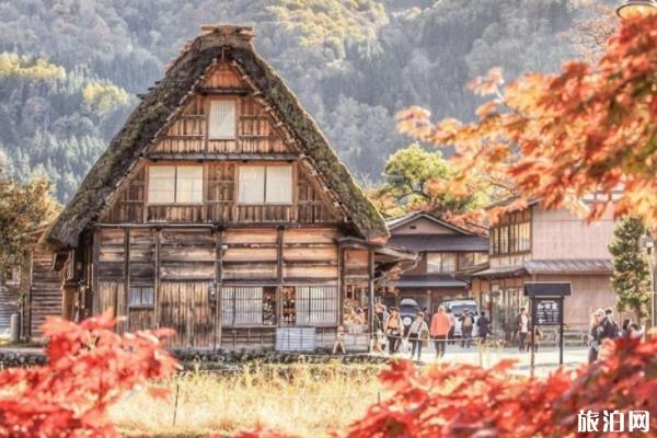 日本适合冬天去的地方有哪些