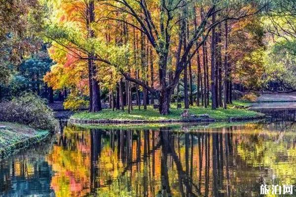 上海秋游哪里比较好+攻略信息 上海秋游哪里比较好+攻略信息