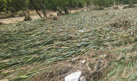 甘肃陇南8月累计遭5次暴雨袭击 多地出现洪涝和滑坡灾害