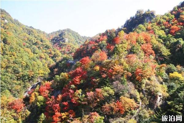 2019年10月洛阳免费景区推荐
