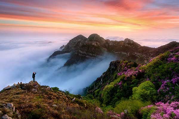 轿子雪山杜鹃花什么时候开 轿子雪山杜鹃花期是什么时候